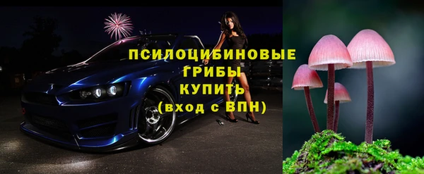 тгк Михайлов
