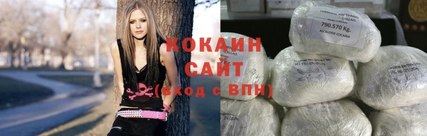 тгк Михайлов