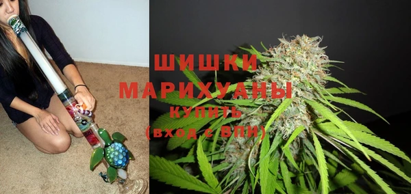 тгк Михайловск