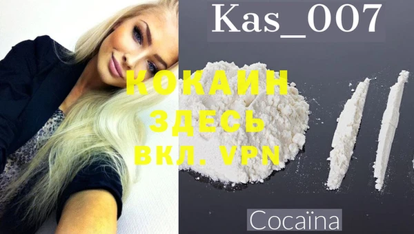 тгк Михайлов