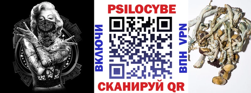 hydra рабочий сайт  Новый Уренгой  Галлюциногенные грибы мицелий 
